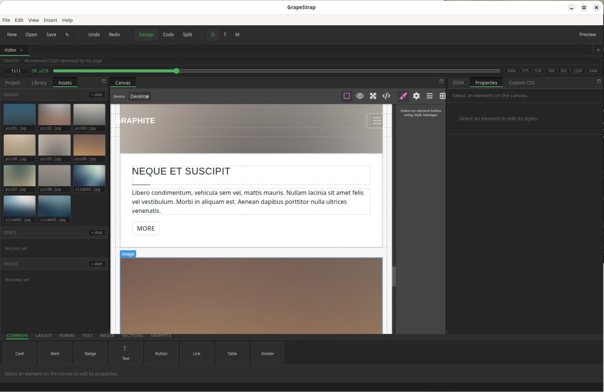 GrapeStrap asset manager — project images, fonts, and videos beside the live canvas