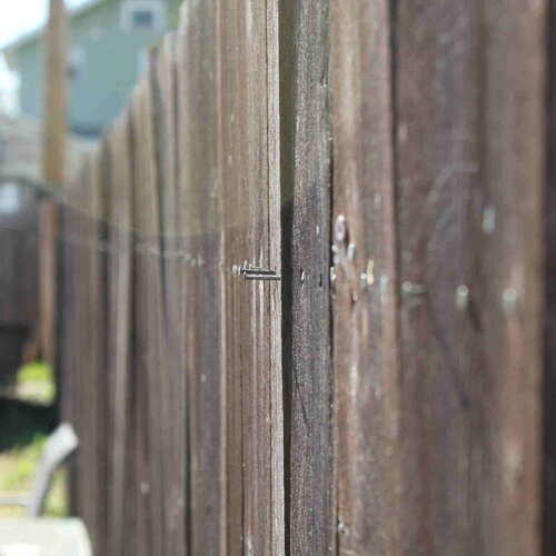 Close-up of a weathered wood privacy fence with a nail, grain visible