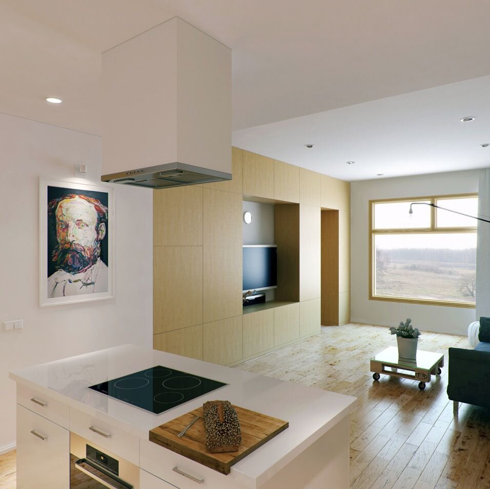 Open-plan kitchen and living room, sample interior photo