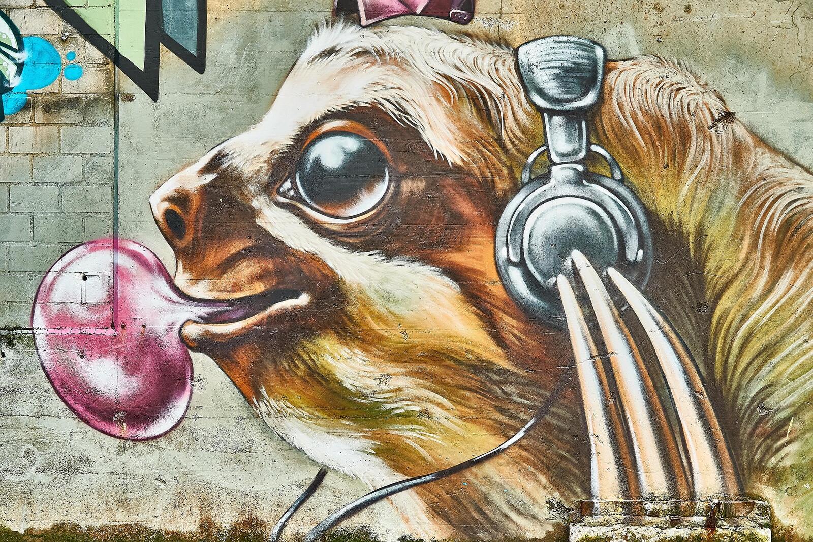 Colorful graffiti mural of a headphone-wearing squirrel